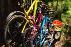 Bikes