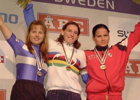 Sari
