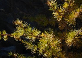 p1030195